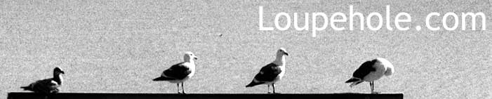 loupehole.com::header